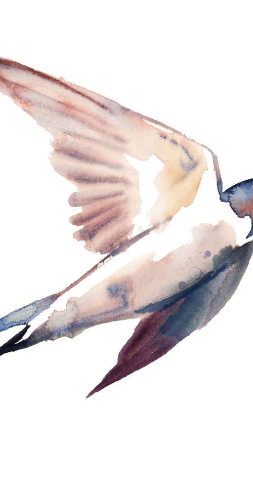 Swallows No. 50 by Elizabeth Becker