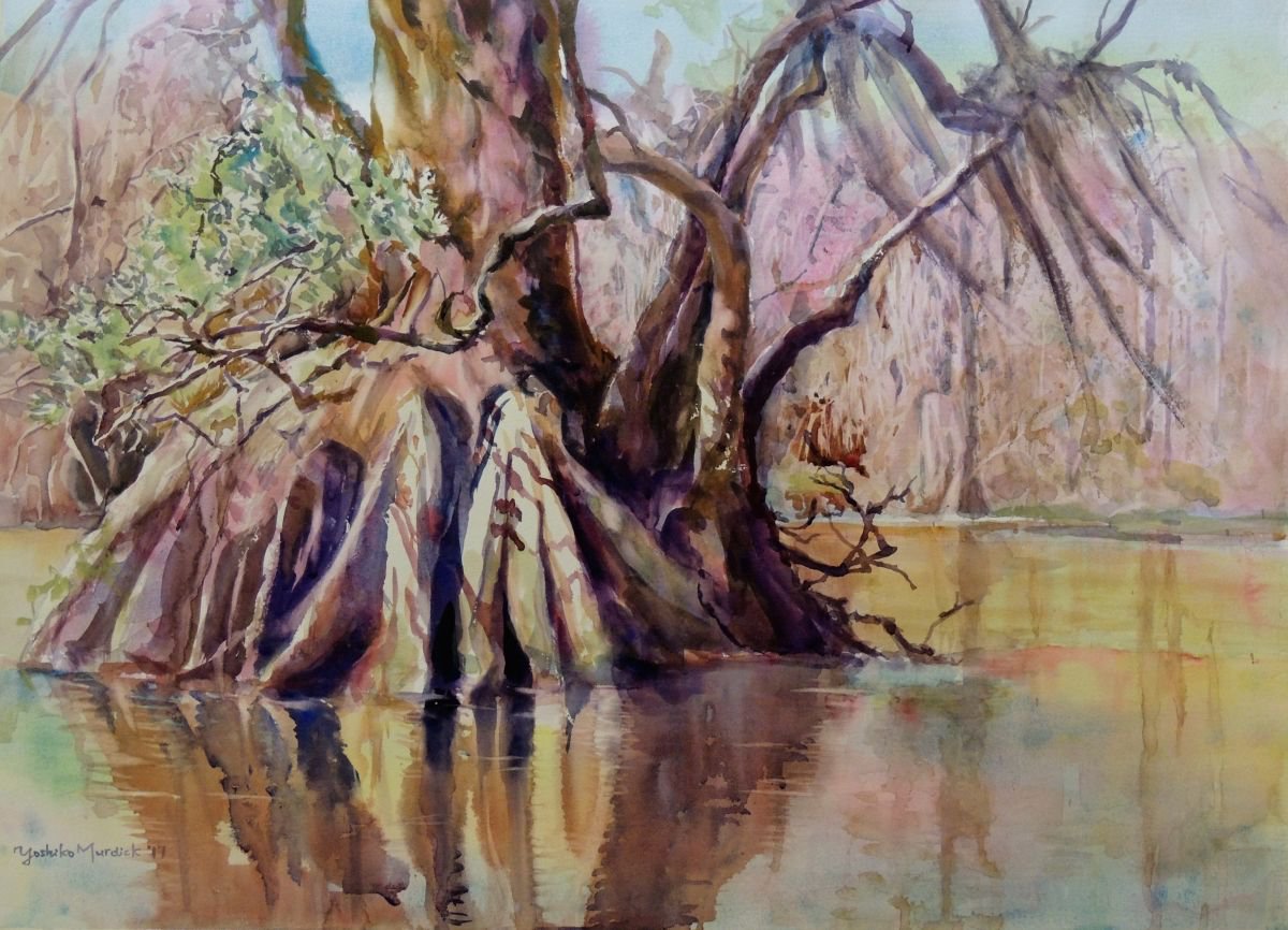 Impressionistic Watercolour , Cypress In The Wakulla By Yoshiko Murdick, 32 X 22, Artwork For Sale On Artfinder