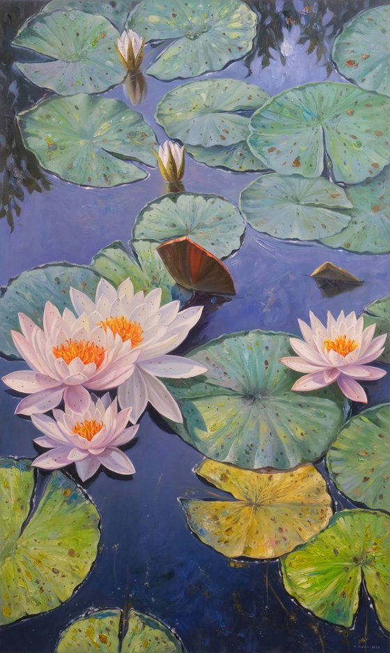 Water Lilies