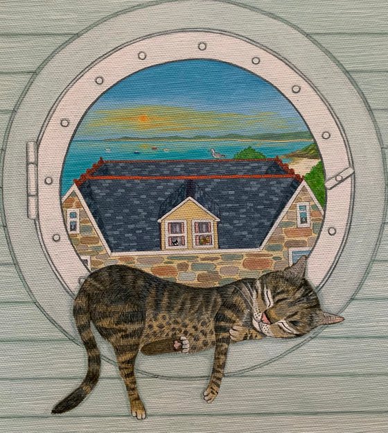 The Porthole cat