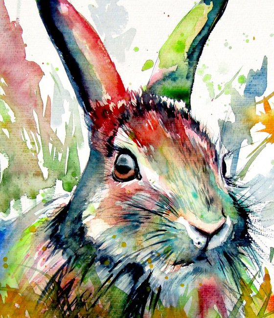 Rabbit in the grass