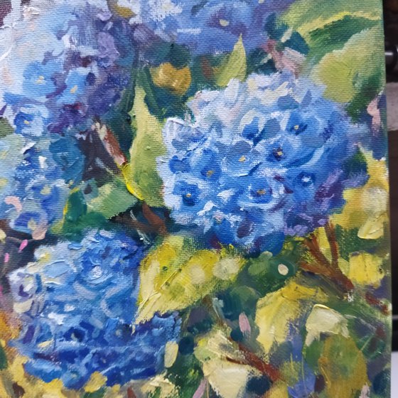 Hydrangeas flowers