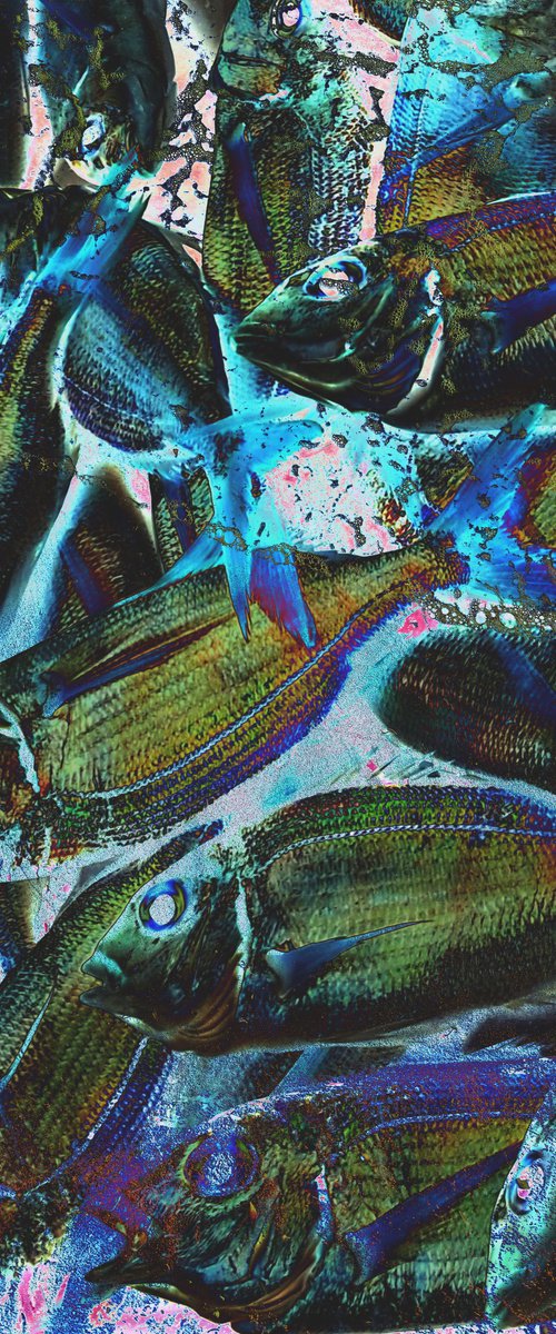 Digital collage Colorful Fish by Yuliia Sharapova