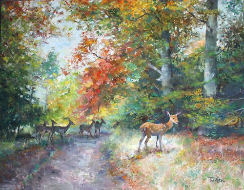 Deer in Wendover Woods by Christian Twelftree