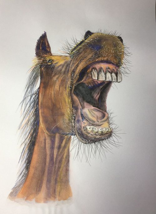 Laughing horse by Jing Tian