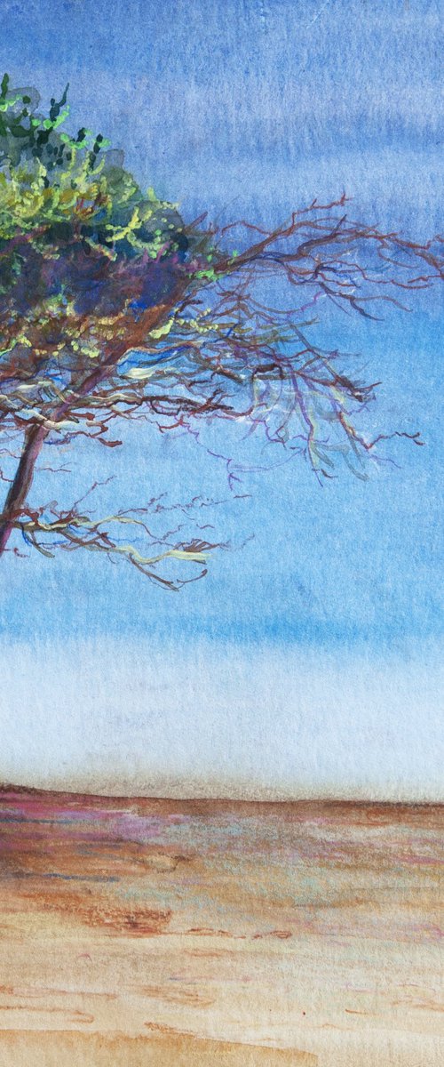 Deep Breath by VALDA ROSE ART GALLERY