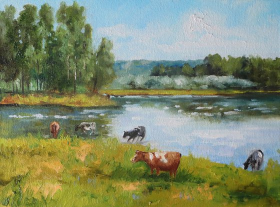 Cows at Watering Place