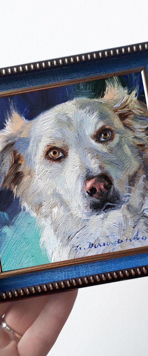 Custom dog portrait by Nataly Derevyanko