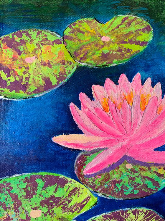 Pink water lily! Water lily pond! Textured art