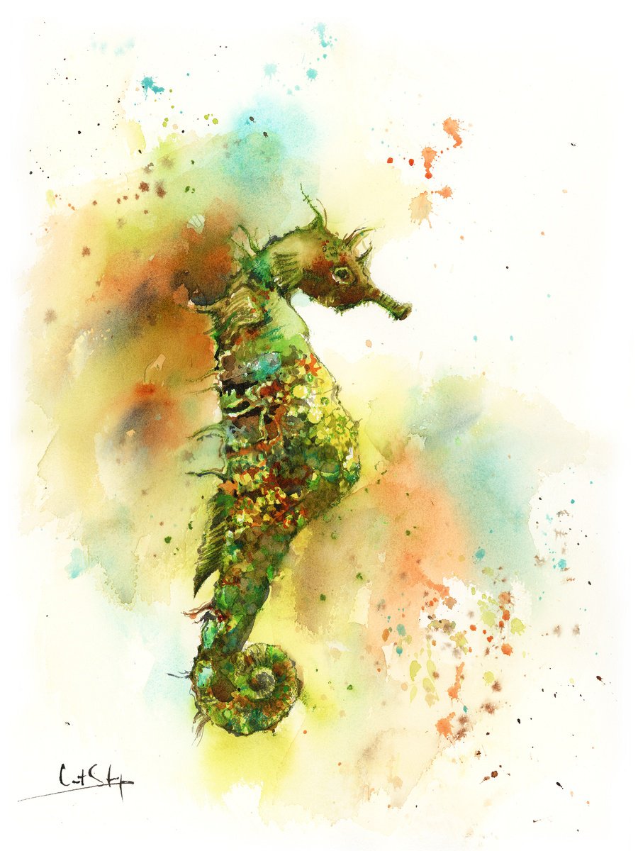 Seahorse Watercolor Painting by Sophie Rodionov