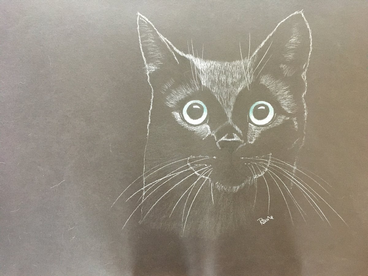 Black Cat by Ruth Searle