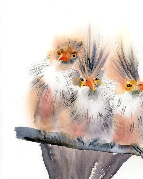 Trio Of Crested Birds - Diptych