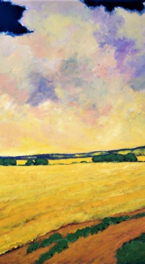 GOLDEN HARVEST, CENTRAL WHEATBELT, WESTERN AUSTRALIA by David J Edwards