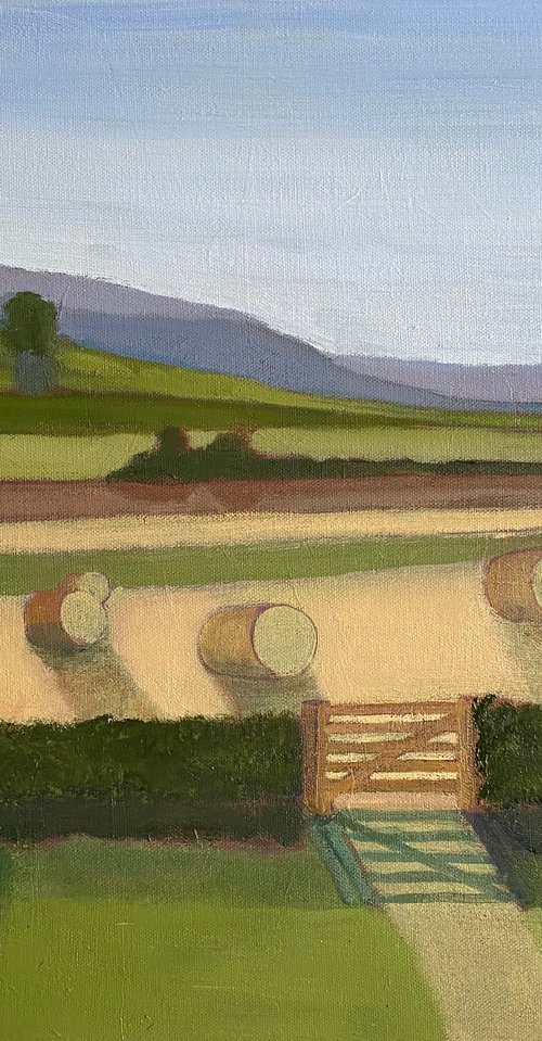 Summer Harvest by Nigel Sharman