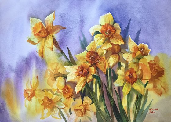 Bouquet of daffodils. Spring flowers. Botanical painting.