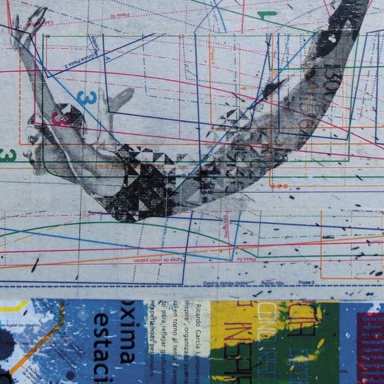 Collage_35_30x30 cm_Swimmer