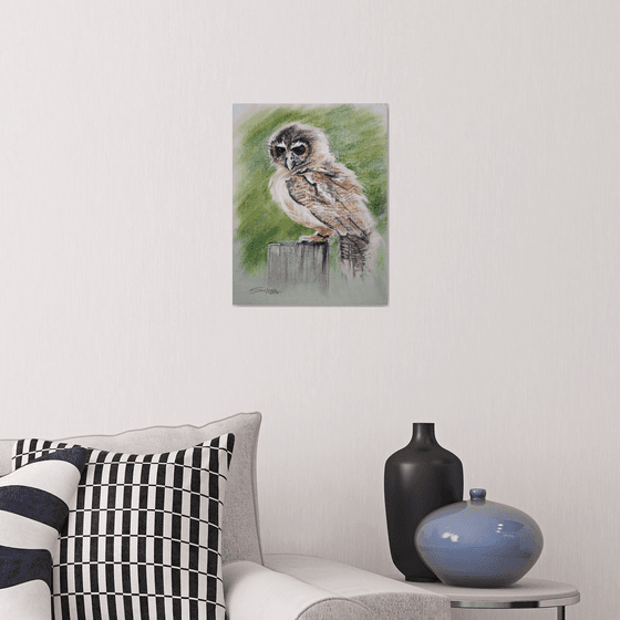 Owl I / From my a series of BIRDS / ORIGINAL PAINTING