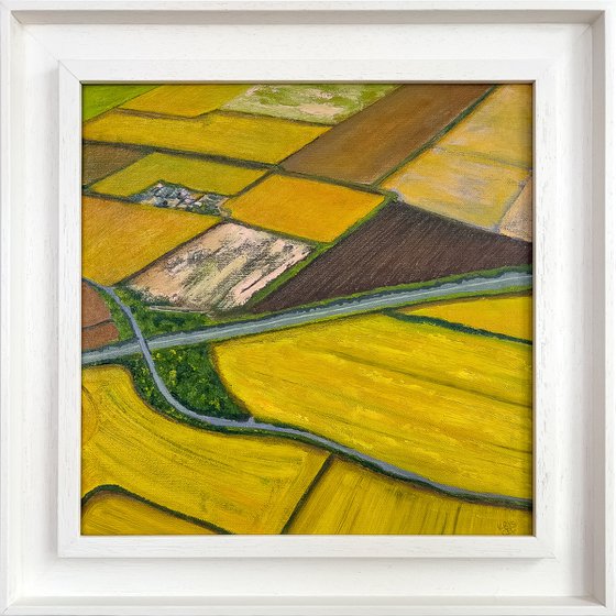 Fields oF Gold