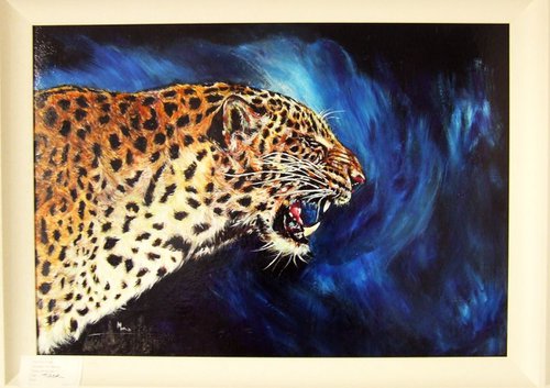 Tiger / Framed by Anna Sidi-Yacoub