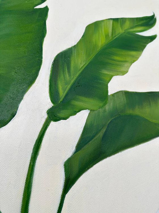 Tropical Banana Leaves