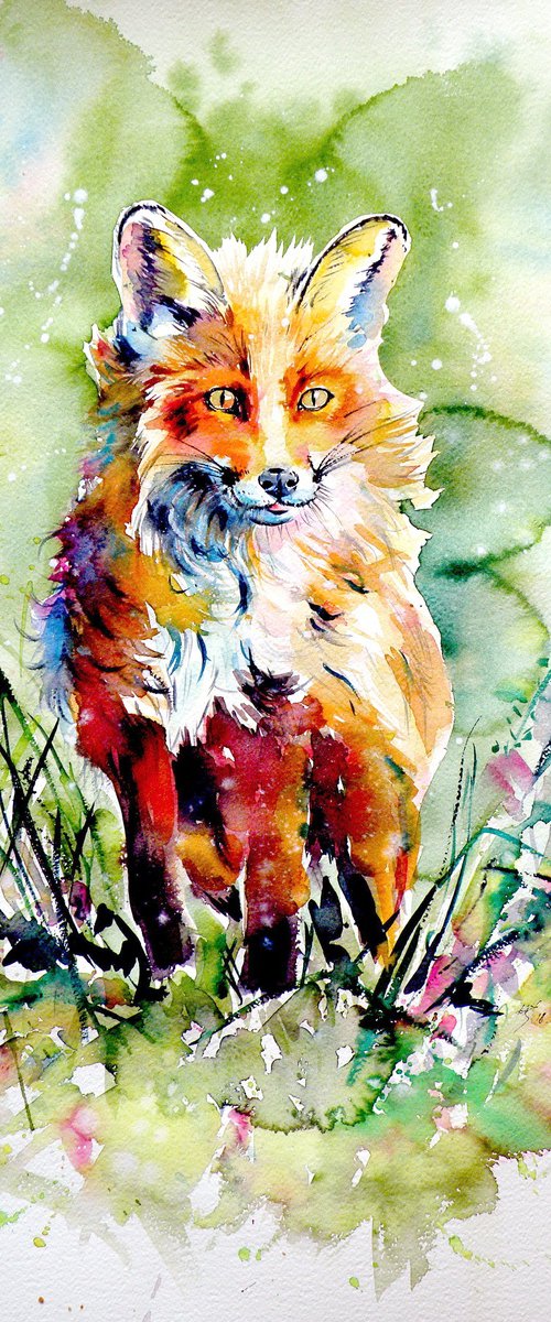 Red fox II by Kovács Anna Brigitta