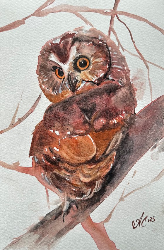 Birds: White Crane and Little Owl