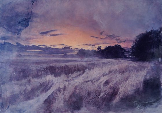 Grassland