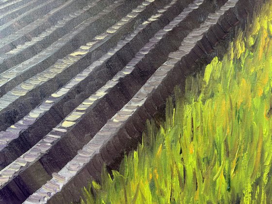 Plowed Field in Wachtum