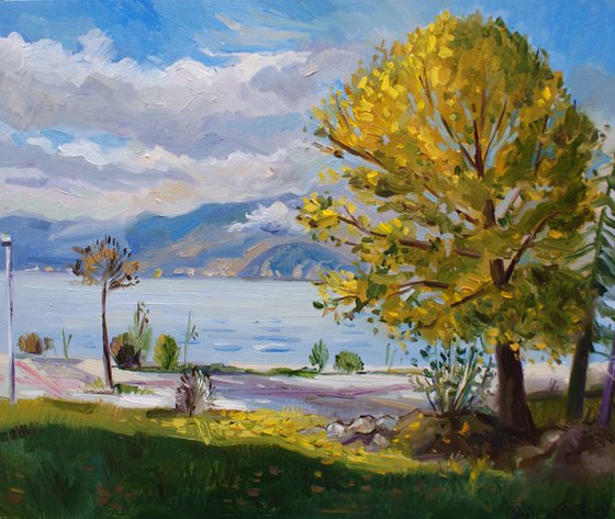 Afternoon light near the lake
