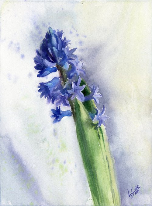 Blue Hyacinth by SVITLANA LAGUTINA