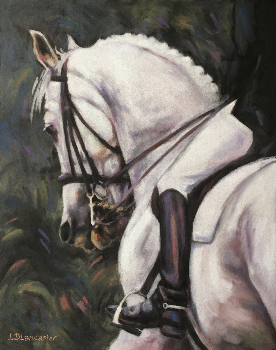 Noble Grey Dressage Horse by Lorna Lancaster ASEA