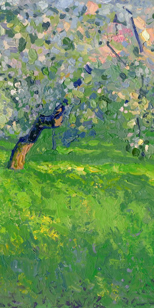 The last rays. Apple trees in bloom by Simon Kozhin