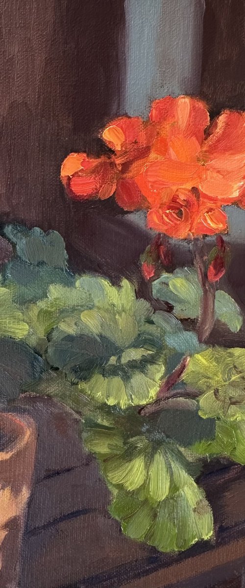 Blooming Geranium by Grace Diehl