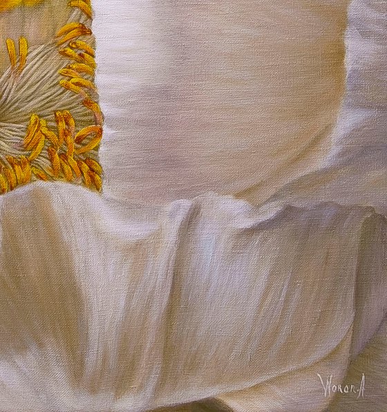 Peony, Soul of a Flower