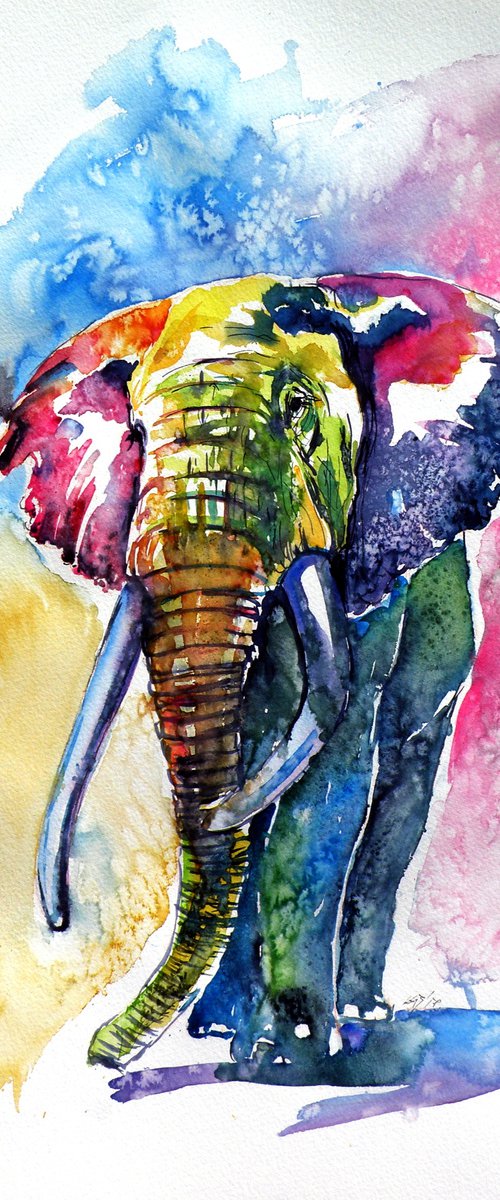 Colorful elephant III by Kovács Anna Brigitta