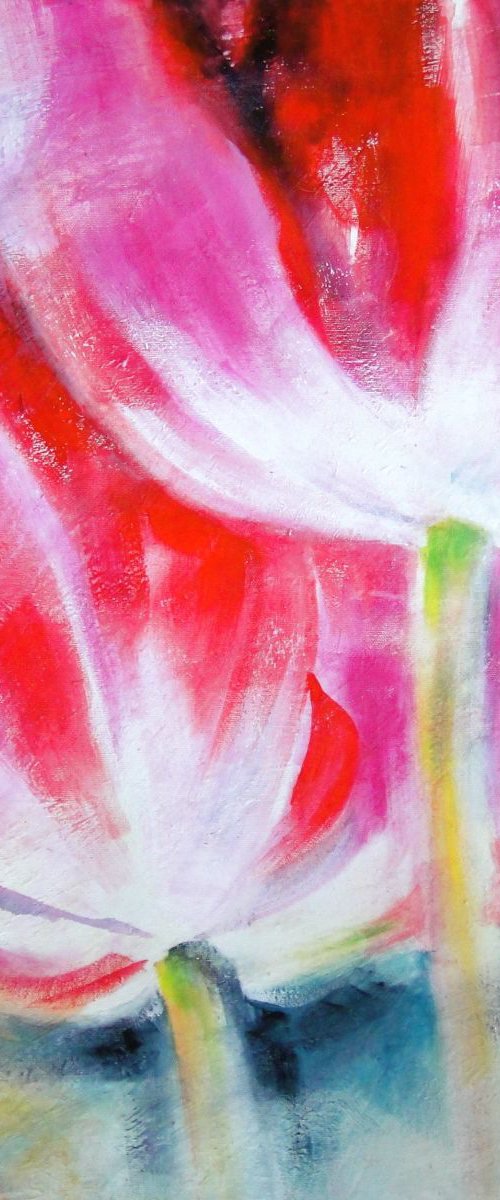 Tulip Mist by louise baker