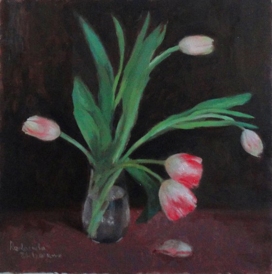 Five Tulips