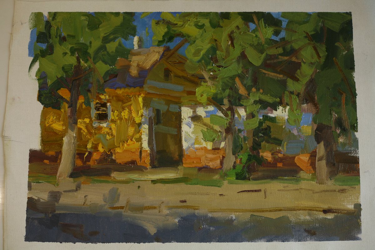 Sunny house by Igor Usachyov