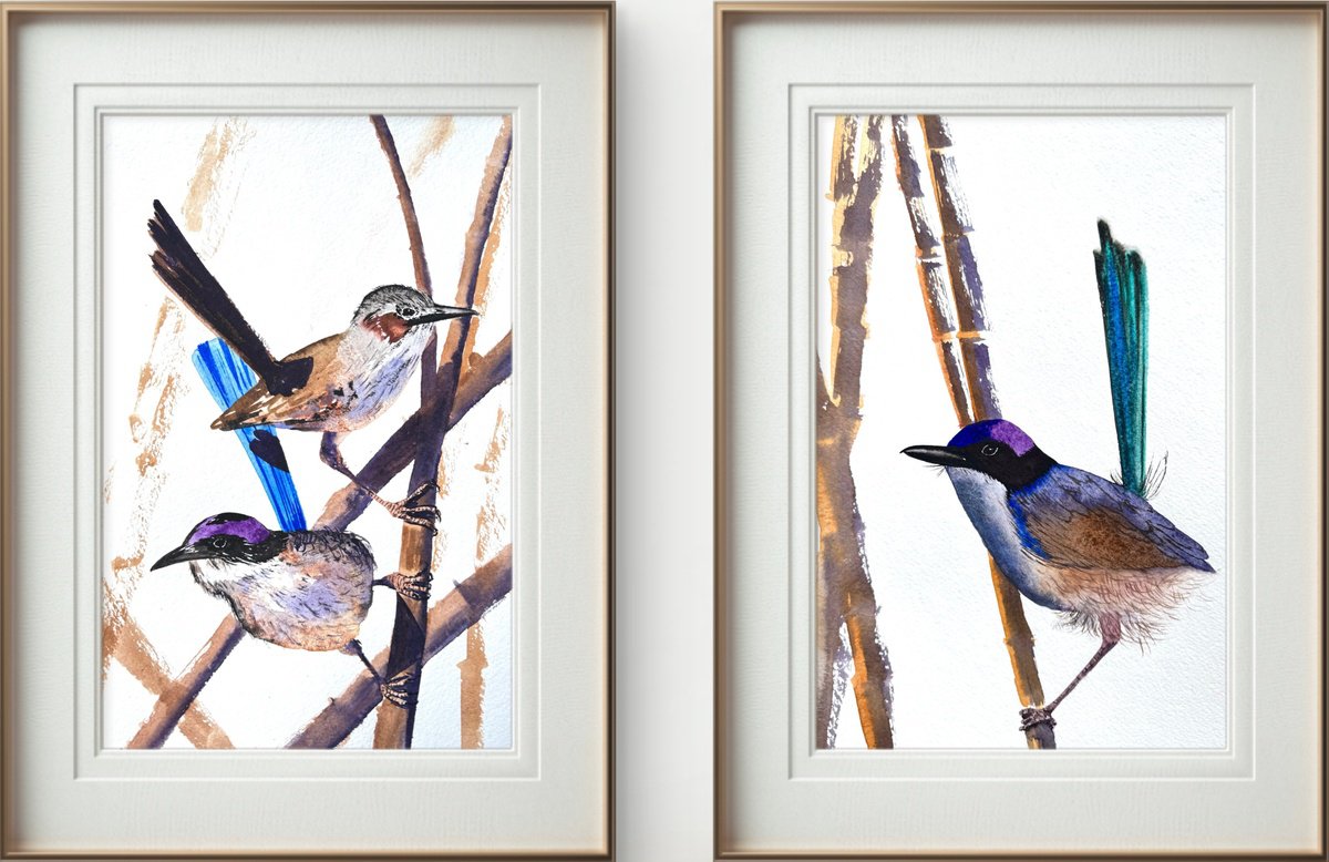 Impressionistic Animal Watercolour By Yuliia Sharapova, 29 X 26", Purple-Crowed Fairy-Wrens, Original Artwork