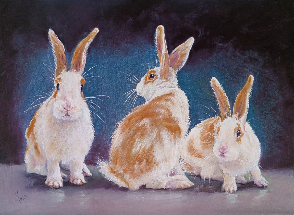 3 little Rabbits by Isabel Mahe