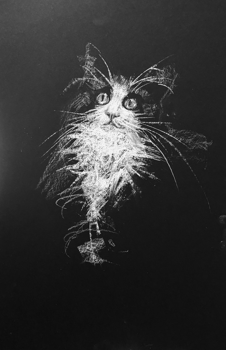 Cat III by Olga Bolgar