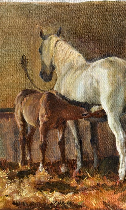 In the Stable by Alona Lesnichenko