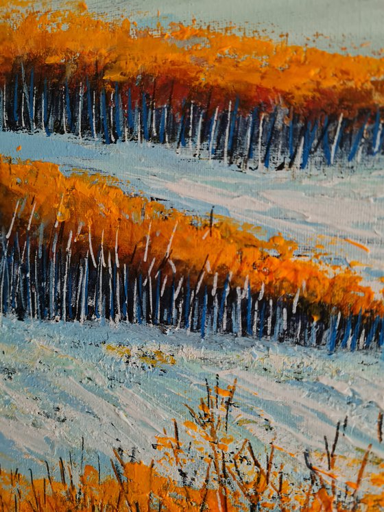Aspen Winter Study- Fields and Colors Series