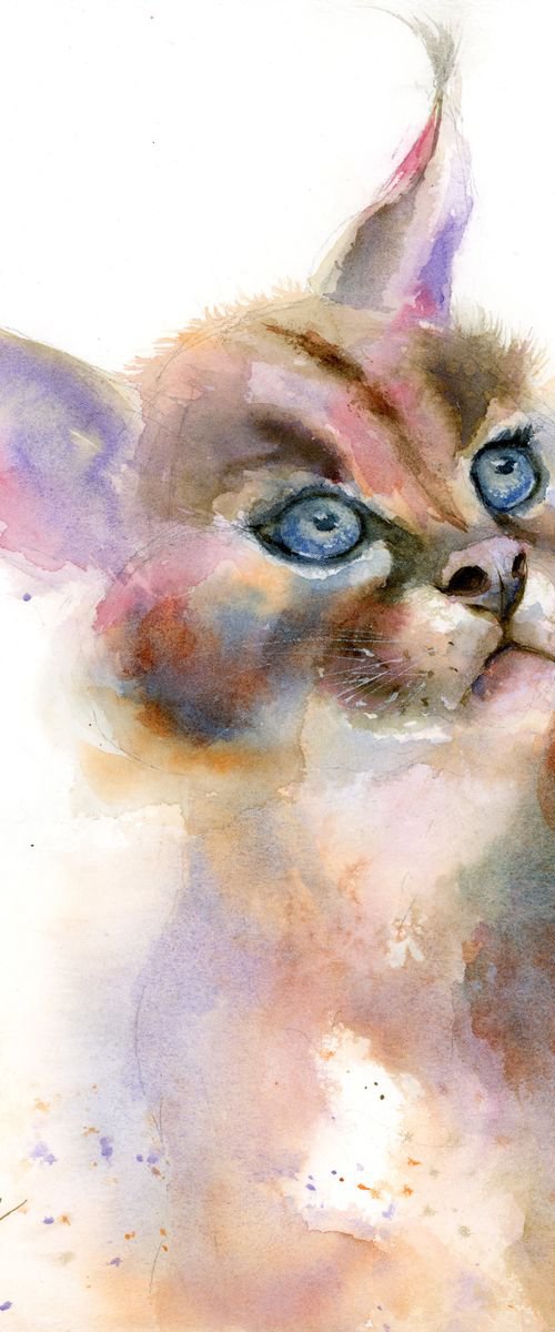 Caracal cat portrait by Olga Tchefranov (Shefranov)
