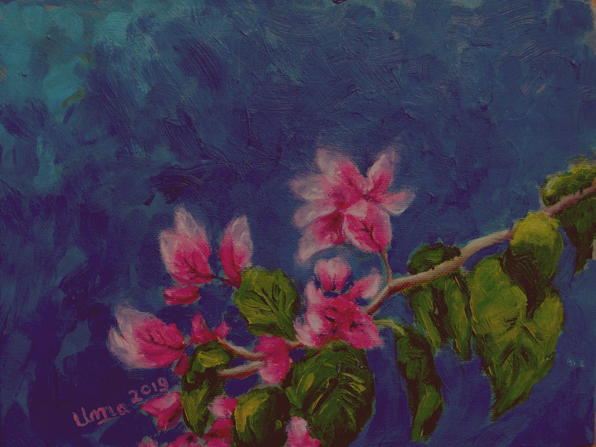 Pink By Uma Krishnamoorthy, 8 X 6, Artwork For Sale On Artfinder