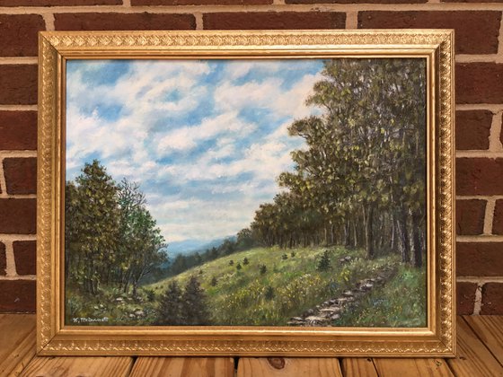 HIGH MEADOW with Pine Seedlings - oil 15X20