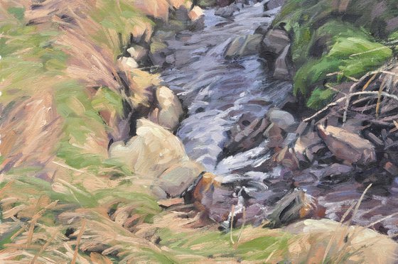 Brittany, coastal stream