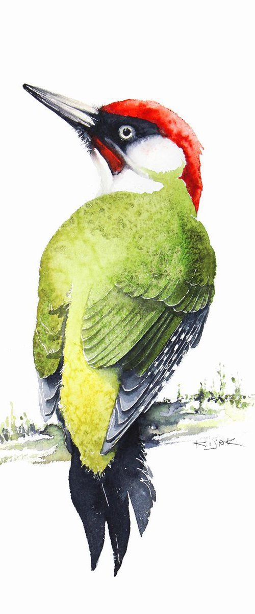 Green woodpecker, 21x30cm, birds, wildlife and animals watercolours by Karolina Kijak