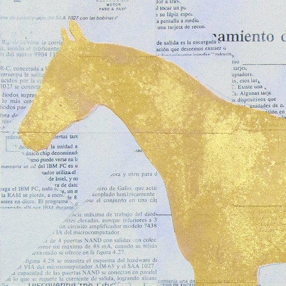 Collage_45_40x40 cm_Golden horse