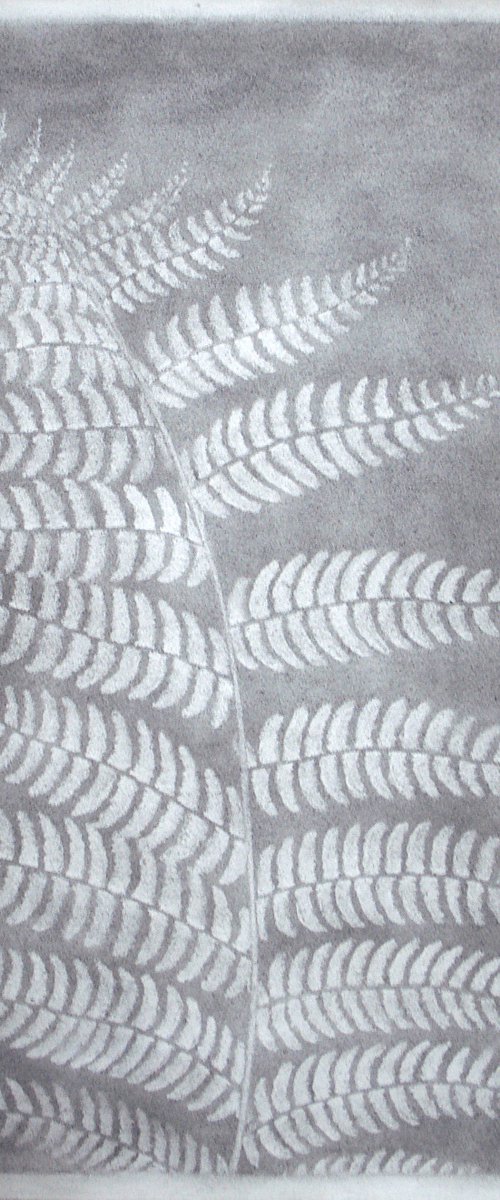 Fern I - Pteridium aquilinum (Eagle fern) by Laura Stötefeld